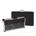 Competitive Price 60W Mono Solar Panel for Sale From China (SGM-F-2*30W)